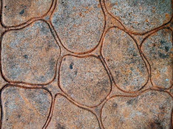 Stained Concrete Service in Ringgold